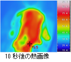 10秒後の熱画像