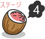 ステージ4