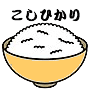 うるち米（コシヒカリ）