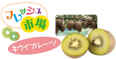 FRUiTS　no2.3.4