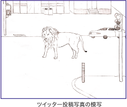 ツイッター投稿写真の模写