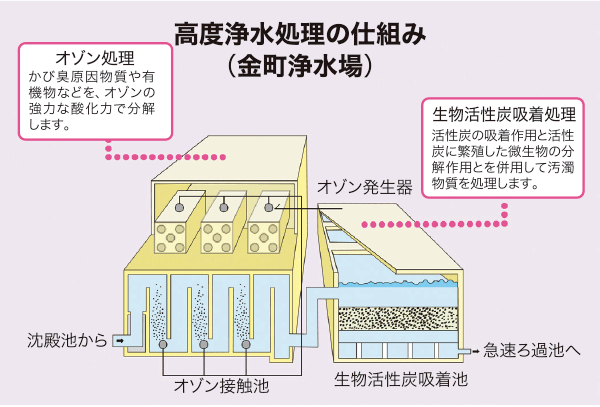 高度浄水処理の仕組み（金町浄水場）