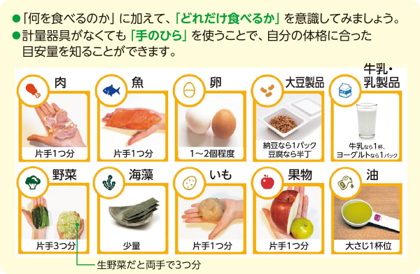「何を食べるのか」に加えて、「どれだけ食べるか」を意識してみましょう。計量器具がなくても「手のひら」を使うことで、自分の体格に合った目安量を知ることができます。肉 片手1つ分 魚 片手1つ分 卵 1~2個程度 大豆製品 納豆なら1パック、豆腐なら半丁 牛乳・乳製品 牛乳なら1杯、ヨーグルトなら1パック 野菜 片手3つ分、生野菜だと両手で3つ分 海藻 少量 いも 片手1つ分 果物 片手1つ分 油 大さじ1杯位