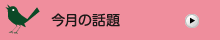 今月の話題