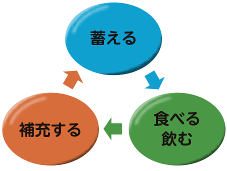 蓄える→補充する→食べる飲むのサイクルイラスト