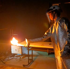 iSl{݌wiNITEXNGAju̗lq