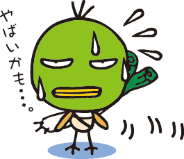 KAMOKAMO