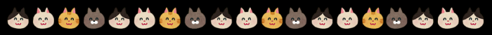 animalcat